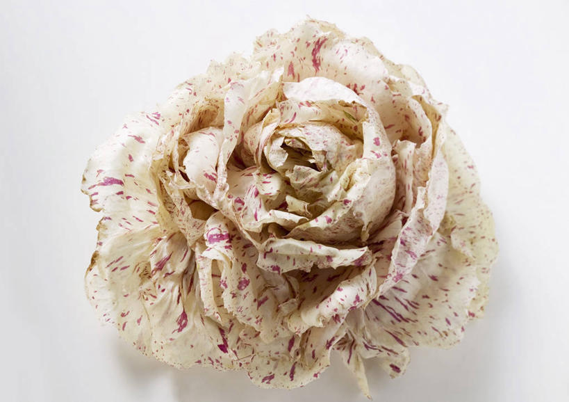 无人,横图,俯视,室内,特写,白天,白色背景,植物,桌面,桌子,蔬菜,叶子,阴影,新鲜,反射,木制,纹理,影子,菊苣,食品,绿叶,药草,食物,绿色,木制品,嫩叶,摄影,有机食品,绿色食品,影棚,药材,肌理,叶,叶片,叶脉,彩图,高角度拍摄,影棚拍摄,拍摄