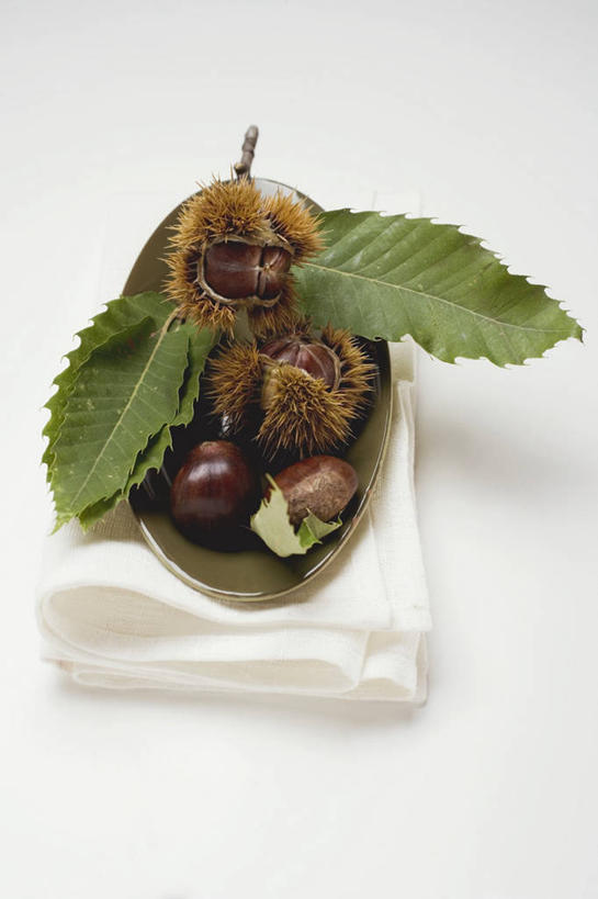 无人,竖图,俯视,室内,特写,白天,白色背景,植物,桌面,桌子,叶子,阴影,花纹,反射,木制,布,图案,纹理,影子,陶瓷,板栗,栗子,坚果,绿叶,毛栗子,陶瓷制品,布纹,一个,绿色,木制品,容器,碗,嫩叶,摄影,影棚,单个,储藏,布匹,储存,肌理,毛栗,栗果,栗楔,叶,叶片,叶脉,彩图,高角度拍摄,影棚拍摄,拍摄,贮存