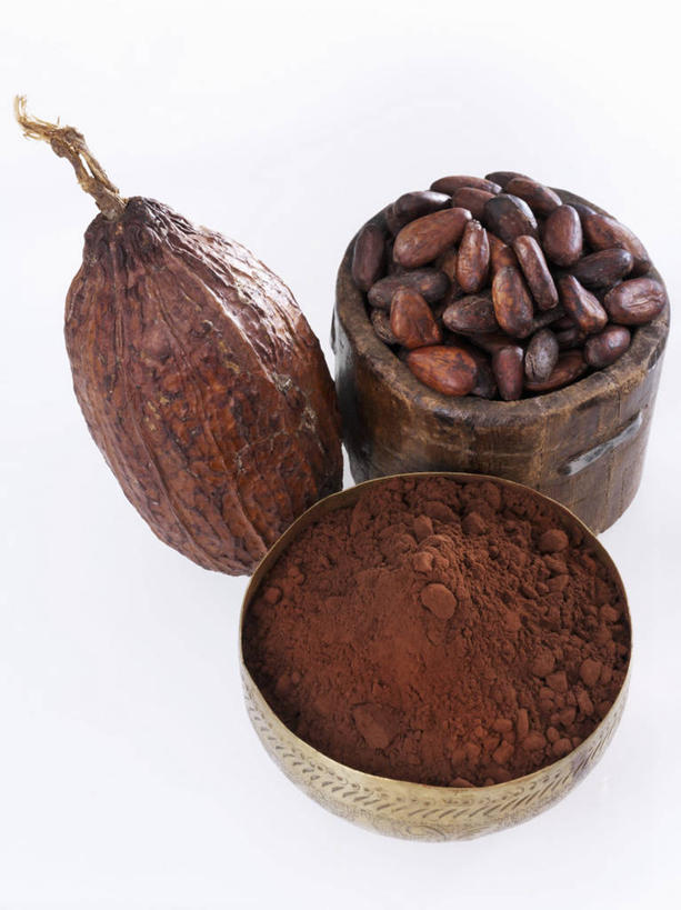 无人,竖图,俯视,室内,特写,白天,白色背景,餐桌,桌子,两根,一堆,阴影,堆叠,堆积,反射,粉末,影子,陶瓷,褐色,果实,种子,陶瓷制品,可可,容器,碗,粉,摄影,影棚,餐台,储藏,堆,可可粉,储存,可可豆,粉状,粉剂,可可子,彩图,高角度拍摄,影棚拍摄,拍摄,贮存