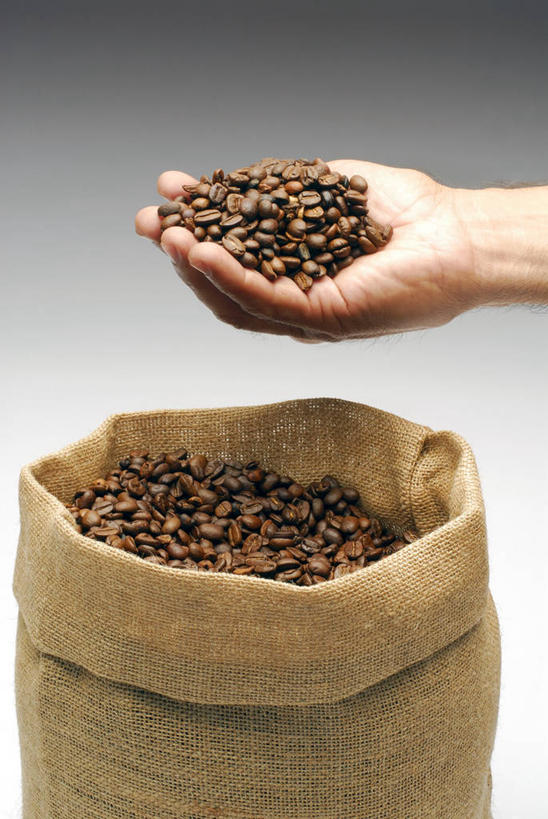 咖啡,西方人,手,一个人,捧,竖图,室内,特写,白天,正面,植物,豆,袋子,欧洲,欧洲人,仅一个年轻女性,仅一个女性,仅一个人,一堆,许多,堆叠,堆积,灰色背景,豆类,豆子,褐色,很多,麻袋,容器,咖啡豆,手部,摄影,影棚,储藏,堆,单手,储存,豆科,咖啡因,年轻女性,女人,女性,白种人,端,端着,捧着,手捧,半身,彩图,影棚拍摄,拍摄,贮存