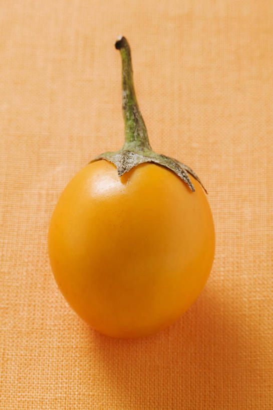 无人,竖图,俯视,室内,特写,白天,餐桌,桌子,茄子,蔬菜,阴影,黄色背景,新鲜,反射,影子,食品,食物,一个,黄色,摄影,有机食品,绿色食品,影棚,单个,餐台,落苏,酪酥,昆仑瓜,矮瓜,彩图,高角度拍摄,影棚拍摄,拍摄,袖珍茄子