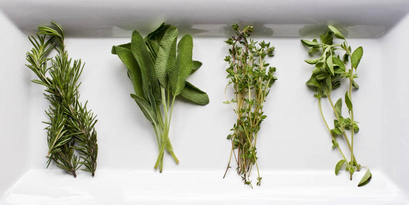 无人,家庭,横图,俯视,室内,特写,白天,智慧,餐桌,桌子,餐具,叶子,一排,阴影,整齐,芳香,反射,碟子,盘,影子,绿叶,排列,一个,盘子,碟,香草,嫩叶,单个,餐台,吉祥,百里香,迷迭香,牛至,麝香草,鼠尾草,队列,滇香蕾,土香薷,如意,海洋之露,勇气,勇敢,理性,地椒,自尊,不屈,荆芥,香薷,奥勒冈草,白花土荆芥,白花茵陈,川香薷,俄力冈叶,减脂叶,满山香,蘑菇草,披萨草,银薄荷,止痢草,平安,叶,叶片,彩图,高角度拍摄