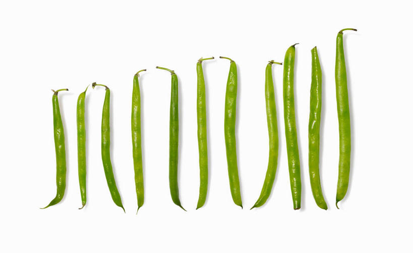 无人,横图,俯视,室内,特写,白天,白色背景,植物,餐桌,桌子,豆,蔬菜,一排,许多,阴影,新鲜,整齐,反射,影子,豆类,豆子,食品,很多,食物,排列,绿色,摄影,有机食品,绿色食品,影棚,餐台,队列,豆科,青大豆,青豆,彩图,高角度拍摄,影棚拍摄,拍摄