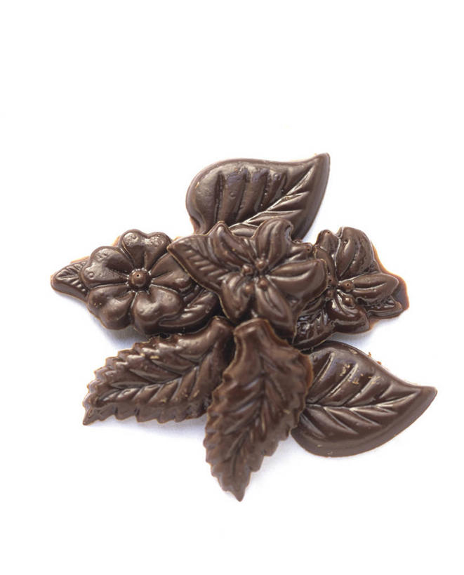 无人,竖图,俯视,室内,特写,白天,白色背景,餐桌,桌子,叶子,阴影,盛开,反射,影子,食品,糖,糖果,甜点,甜品,绿叶,花蕾,花,花瓣,花朵,鲜花,食物,甜食,巧克力,花苞,花蕊,嫩叶,摄影,影棚,餐台,朱古力,牛奶巧克力,叶,叶片,彩图,高角度拍摄,影棚拍摄,拍摄