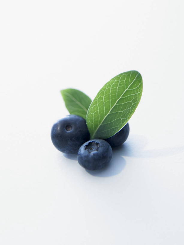 无人,竖图,俯视,室内,特写,白天,白色背景,植物,餐桌,桌子,浆果,蓝莓,水果,叶子,阴影,新鲜,反射,纹理,影子,生食,食品,果实,绿叶,三颗,食物,蓝色,绿色,嫩叶,摄影,有机食品,绿色食品,影棚,餐台,肌理,叶,叶片,叶脉,山都柿,蓝浆果,蓝靛果,彩图,高角度拍摄,影棚拍摄,拍摄