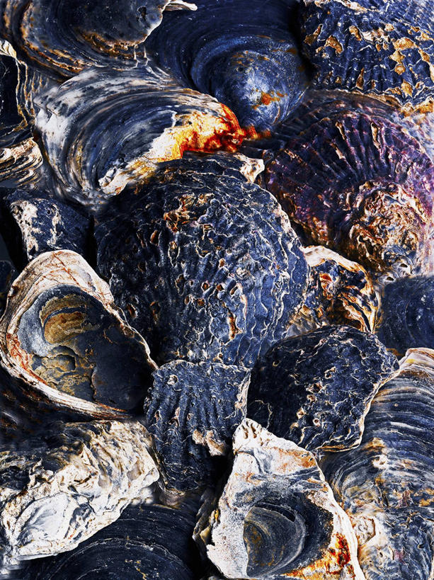 海鲜,无人,竖图,俯视,室内,特写,白天,餐桌,桌子,一堆,许多,阴影,堆叠,堆积,反射,影子,牡蛎,很多,水产,海洋生物,黑色,餐台,堆,生蚝,水生动物,海产品,水生物,海底动物,彩图,高角度拍摄