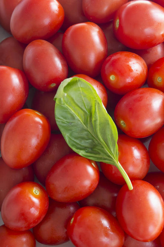 无人,竖图,俯视,室内,特写,白天,植物,餐桌,桌子,蔬菜,西红柿,小番茄,叶子,一堆,许多,阴影,堆叠,堆积,新鲜,反射,影子,香料,食品,绿叶,草药,中药,食物,红色,香草,嫩叶,有机食品,绿色食品,餐台,堆,罗勒,紫苏,药材,中草药,九层塔,圣约瑟夫草,甜罗勒,兰香,中药材,本草,小西红柿,樱桃小番茄,珍珠小番茄,叶,叶片,樱桃番茄,圣女果,番茄,彩图,高角度拍摄