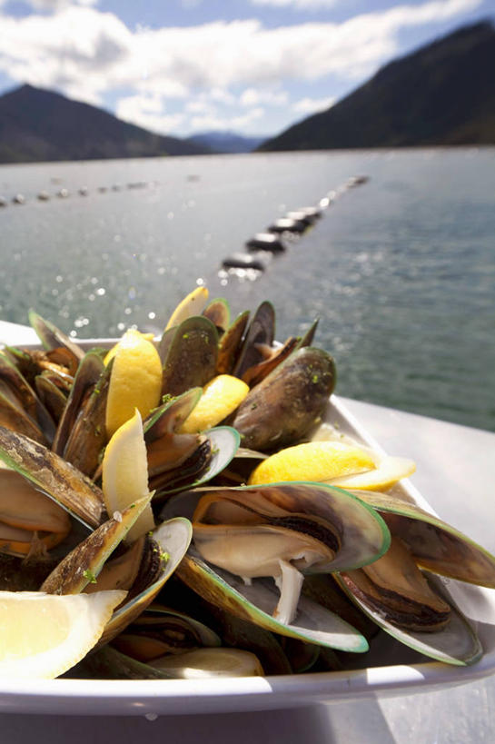 海鲜,无人,竖图,俯视,室外,特写,白天,海浪,海洋,山,山脉,柠檬,贝壳,餐具,水果,一堆,许多,阴影,堆叠,堆积,新鲜,光线,碟子,盘,影子,浪花,山峰,云,云朵,生食,食品,果实,山峦,云彩,水产,海洋生物,食物,黄色,蓝色,白云,蓝天,天空,阳光,海水,盘子,碟,群山,天,有机食品,绿色食品,晴朗,堆,水生动物,海产品,贻贝,横截面,水生物,剖面,海景,海底动物,海虹,淡菜,壳菜,青口,截面,截面图形,大海,风浪,海,海水的波动,近岸浪,涌浪,晴空,益母果,柠果,彩图,高角度拍摄