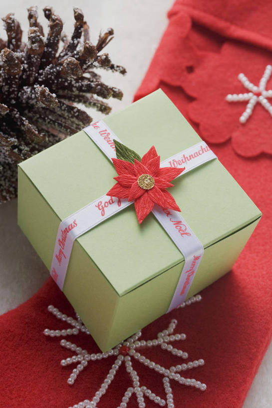 无人,竖图,俯视,室内,特写,白天,白色背景,餐桌,桌子,礼盒,礼物,圣诞节,阴影,节日,庆祝,装饰,反射,丝绸,丝带,影子,纸盒,雪花,坚果,果实,松果,缎带,文化,绸带,盒子,一个,红色,包装盒,礼品盒,干果,庆典,摄影,礼品,影棚,单个,餐台,纪念,华丽,修饰,点缀,松塔,衬托,美观,雅致,雅观,彩图,高角度拍摄,影棚拍摄,拍摄