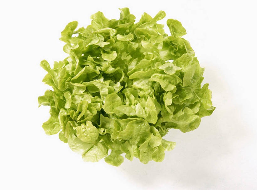 无人,横图,俯视,室内,特写,白天,白色背景,餐桌,桌子,蔬菜,阴影,新鲜,反射,影子,生菜,莴苣,食品,食物,一个,摄影,有机食品,绿色食品,影棚,单个,餐台,春菜,鹅仔菜,莴仔菜,千金菜,叶用莴苣,彩图,高角度拍摄,影棚拍摄,拍摄