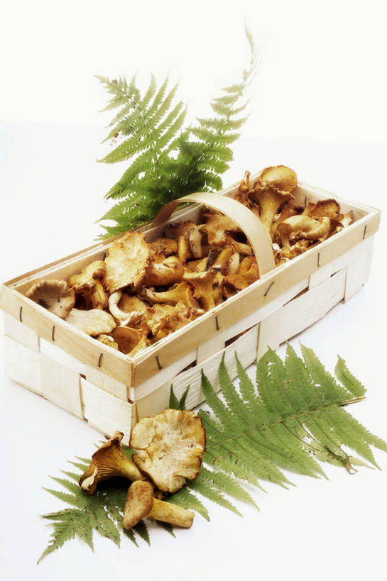 无人,交叉,竖图,俯视,室内,特写,白天,白色背景,餐桌,桌子,竹子,蔬菜,叶子,一堆,许多,阴影,堆叠,堆积,竹制,新鲜,编织,反射,篮子,影子,菌菇,食品,绿叶,菌类,食物,一个,竹篮,嫩叶,食用菌,摄影,有机食品,绿色食品,影棚,单个,餐台,竹条,堆,交织,竹制品,鸡油菌,穿插,杏黄菌,杏菌,叶,叶片,彩图,高角度拍摄,影棚拍摄,拍摄