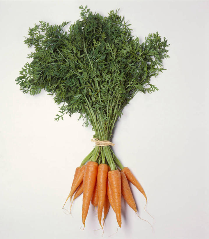 无人,竖图,俯视,室内,特写,白天,白色背景,餐桌,桌子,萝卜,胡萝卜,蔬菜,叶子,许多,阴影,新鲜,反射,影子,食品,绿叶,食物,绳子,橙色,嫩叶,摄影,有机食品,绿色食品,影棚,餐台,捆绑,绳索,绑缚,叶,叶片,红萝卜,甘荀,彩图,高角度拍摄,影棚拍摄,拍摄