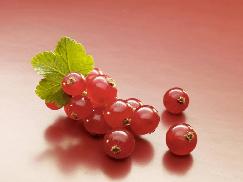 无人,横图,俯视,室内,特写,白天,餐桌,桌子,浆果,水果,叶子,一堆,许多,阴影,堆叠,堆积,红色背景,新鲜,反射,影子,灯笼果,生食,食品,果实,绿叶,食物,红色,嫩叶,摄影,有机食品,绿色食品,影棚,餐台,堆,红醋栗,叶,叶片,醋栗,彩图,高角度拍摄,影棚拍摄,拍摄