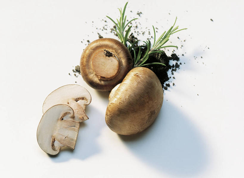 无人,横图,俯视,室内,特写,白天,白色背景,餐桌,桌子,蔬菜,阴影,新鲜,反射,影子,泥土,土壤,菌菇,香菇,调味,香料,佐料,食品,菌类,食物,四个,食用菌,摄影,有机食品,绿色食品,影棚,餐台,迷迭香,配料,横截面,剖面,海洋之露,作料,截面,截面图形,彩图,高角度拍摄,影棚拍摄,拍摄