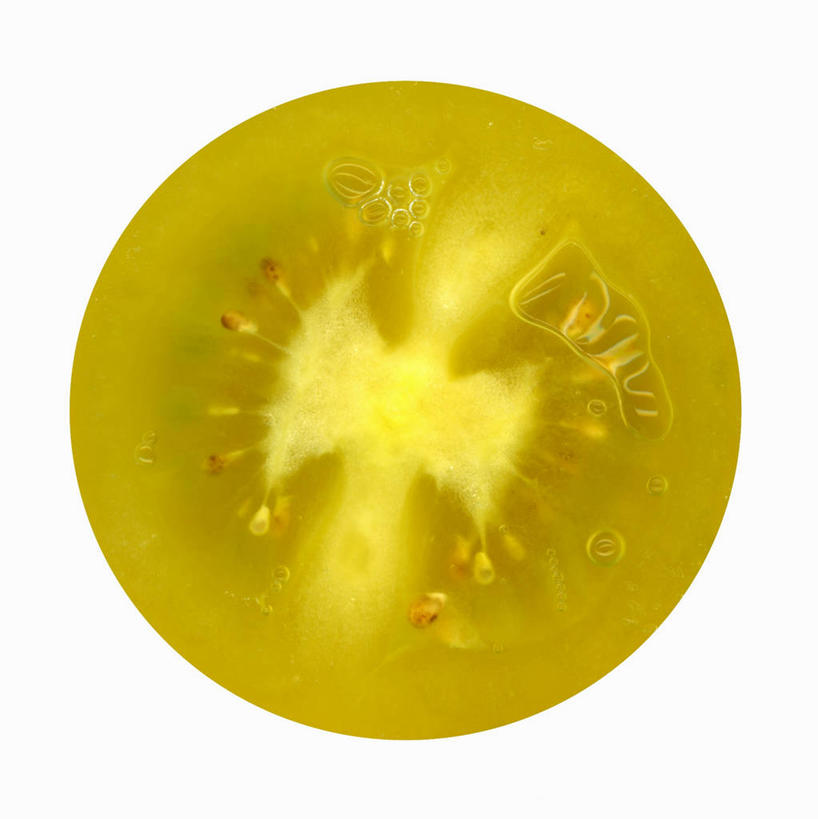 无人,竖图,室内,特写,白天,白色背景,正面,葡萄,水果,阴影,新鲜,反射,影子,生食,食品,果实,食物,一个,绿色,摄影,有机食品,绿色食品,影棚,单个,横截面,剖面,截面,截面图形,山葫芦,蒲桃,草龙珠,彩图,影棚拍摄,拍摄