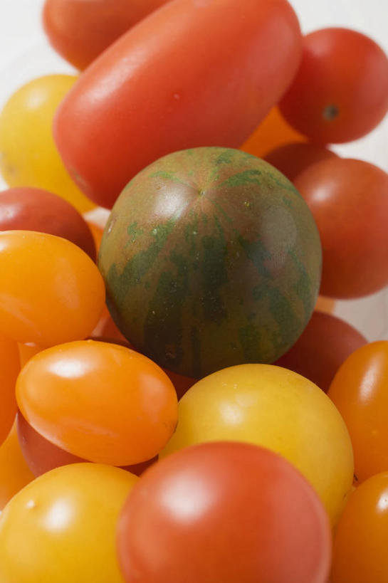 无人,竖图,俯视,室内,特写,白天,白色背景,餐桌,桌子,蔬菜,西红柿,小番茄,一堆,许多,阴影,堆叠,堆积,新鲜,反射,影子,食品,食物,黄色,红色,橙色,摄影,有机食品,绿色食品,影棚,餐台,堆,小西红柿,樱桃小番茄,珍珠小番茄,樱桃番茄,圣女果,番茄,彩图,高角度拍摄,影棚拍摄,拍摄