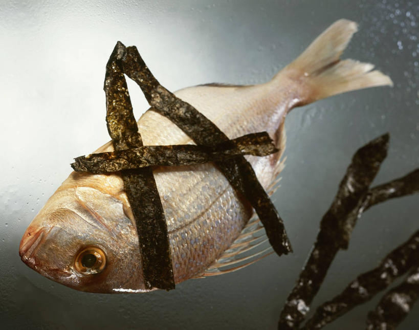 海鲜,无人,横图,俯视,室内,特写,白天,蔬菜,一条,阴影,灰色背景,新鲜,反射,影子,食品,紫菜,鲷鱼,水产,海洋生物,食物,摄影,有机食品,绿色食品,影棚,鲷,加吉鱼,铜盆鱼,水生动物,海产品,水生物,海底动物,班加吉,加真鲷,膜菜,索菜,坛紫菜,子菜,紫英,紫瑛,彩图,高角度拍摄,全身,影棚拍摄,拍摄