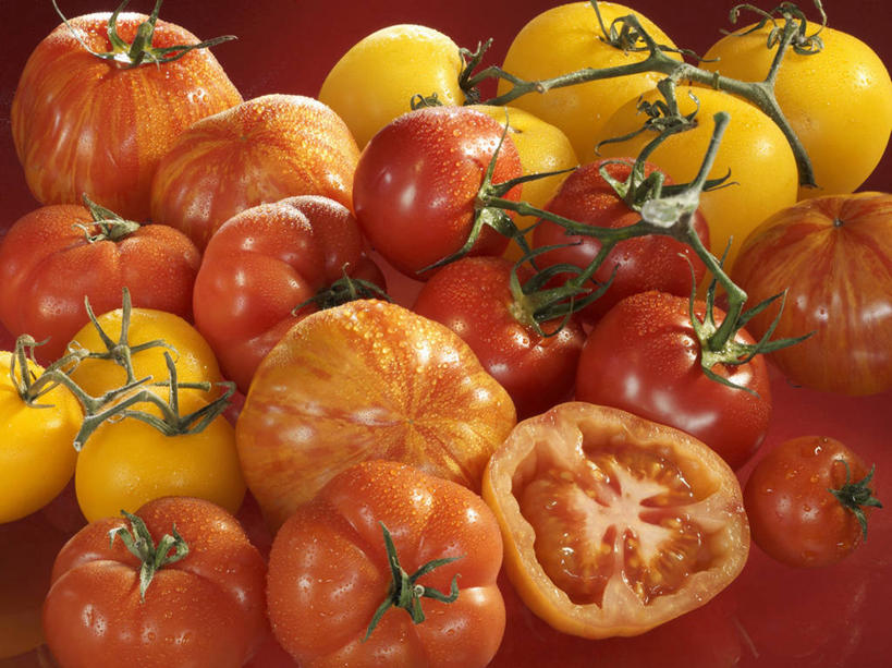 无人,横图,俯视,室内,特写,白天,蔬菜,西红柿,小番茄,一堆,许多,阴影,堆叠,堆积,红色背景,新鲜,反射,影子,食品,食物,黄色,红色,摄影,有机食品,绿色食品,影棚,堆,小西红柿,樱桃小番茄,珍珠小番茄,樱桃番茄,圣女果,番茄,彩图,高角度拍摄,影棚拍摄,拍摄