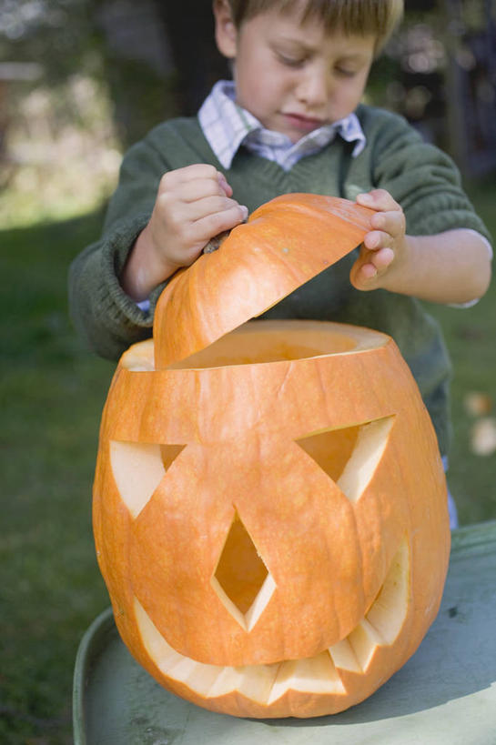 西方人,儿童,脸,头,脸颊,一个人,站,竖图,室外,白天,正面,纯洁,草地,草坪,植物,南瓜,蔬菜,照明,欧洲,欧洲人,仅一个男性,仅一个人,握,阴影,服装,节日,朦胧,模糊,庆祝,新鲜,装饰,光线,影子,灯光,金瓜,食品,注视,休闲装,文化,镂空,番瓜,灯,草,食物,小孩,衣服,绿色,阳光,灯具,低头,观察,看,站着,仅一个小孩,庆典,休闲,休闲服,南瓜灯,万圣节,可爱,童年,童趣,握着,服饰,有机食品,绿色食品,观看,纪念,华丽,修饰,麦瓜,倭瓜,照亮,点缀,察看,照明设备,关注,童真,烂漫,无邪,衬托,美观,雅致,雅观,镂刻,天真,男孩,男人,男性,白种人,孩子,头部,脸部,脸蛋,面部,站立,半身,彩图,男生