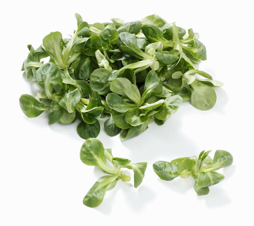 无人,横图,俯视,室内,特写,白天,白色背景,餐桌,桌子,蔬菜,叶子,一堆,许多,阴影,堆叠,堆积,新鲜,反射,影子,生食,蔬菜沙拉,沙拉,食品,绿叶,色拉,沙律,食物,嫩叶,摄影,有机食品,绿色食品,影棚,餐台,色拉酱,堆,千岛酱,叶,叶片,彩图,高角度拍摄,影棚拍摄,拍摄