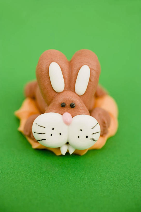 点心,无人,竖图,俯视,室内,特写,白天,餐桌,桌子,哺乳动物,复活节,绿色背景,阴影,节日,庆祝,反射,兔子,影子,食品,曲奇,文化,食物,一个,动物,饼干,零食,庆典,摄影,影棚,单个,餐台,纪念,兔,曲奇饼,曲奇饼干,彩图,高角度拍摄,影棚拍摄,拍摄