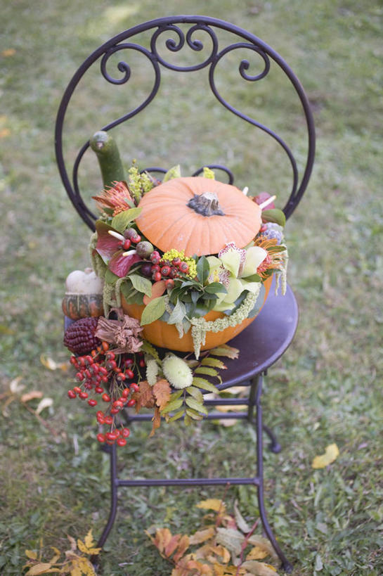 无人,竖图,俯视,室外,白天,草地,草坪,秋季,植物,南瓜,蔬菜,椅子,阴影,节日,庆祝,新鲜,装饰,盛开,光线,影子,金瓜,食品,花蕾,文化,番瓜,草,花,花瓣,花朵,鲜花,食物,绿色,阳光,花苞,花蕊,庆典,有机食品,绿色食品,纪念,华丽,修饰,麦瓜,倭瓜,点缀,感恩节,衬托,美观,雅致,雅观,秋,秋天,彩图,高角度拍摄