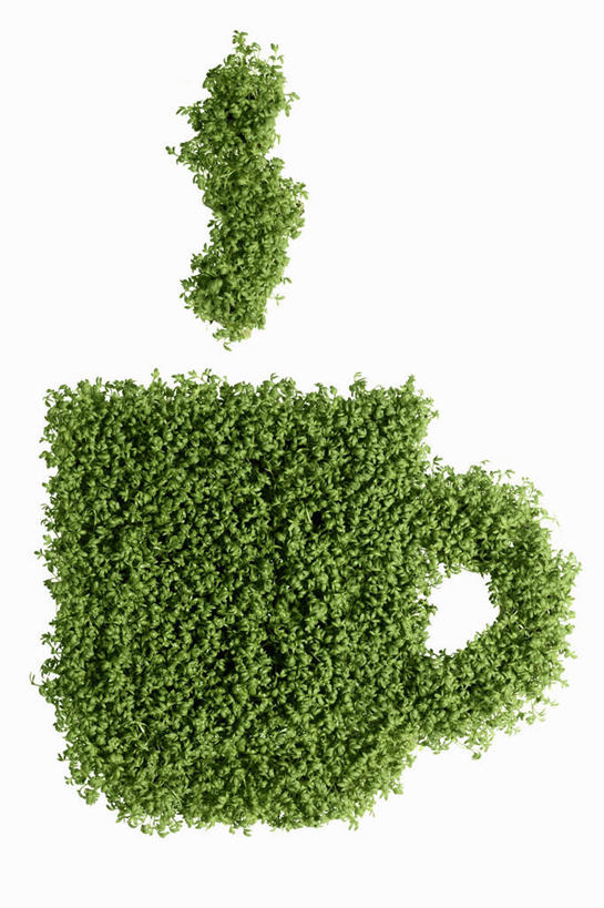 无人,竖图,俯视,室内,特写,白天,白色背景,雾,桌面,桌子,芹菜,蔬菜,杯子,一堆,许多,阴影,堆叠,堆积,沸腾,新鲜,反射,木制,蒸汽,瓷器,影子,食品,咖啡杯,陶瓷制品,水蒸气,食物,木制品,摄影,有机食品,绿色食品,影棚,堆,瓷杯,蒸发,根芹菜,根洋芹,球根塘蒿,药芹,水芹,旱芹,彩图,高角度拍摄,影棚拍摄,拍摄