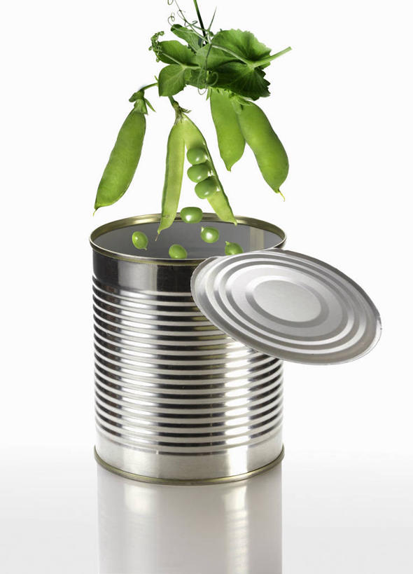 无人,竖图,俯视,室内,特写,白天,白色背景,植物,桌面,桌子,蔬菜,阴影,新鲜,反射,木制,罐头,罐子,影子,豆类,豆子,豌豆,食品,食物,一个,木制品,摄影,有机食品,绿色食品,影棚,单个,罐头食品,雪豆,豆科,寒豆,毕豆,麻累,国豆,小寒豆,麦豌豆,彩图,高角度拍摄,影棚拍摄,拍摄