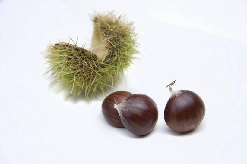 无人,横图,俯视,室内,特写,白天,白色背景,桌面,桌子,水果,阴影,新鲜,反射,木制,影子,板栗,栗子,生食,食品,坚果,果实,毛栗子,食物,木制品,剥开,摄影,有机食品,绿色食品,影棚,毛栗,栗果,栗楔,彩图,高角度拍摄,影棚拍摄,拍摄