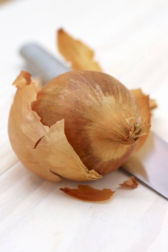 无人,竖图,俯视,室内,特写,白天,白色背景,桌面,桌子,蔬菜,洋葱,餐具,一把,阴影,朦胧,模糊,新鲜,反射,木制,工具,影子,食品,刀具,食物,木制品,刀,摄影,有机食品,绿色食品,影棚,玉葱,餐刀,圆葱,洋葱头,球葱,葱头,彩图,高角度拍摄,影棚拍摄,拍摄