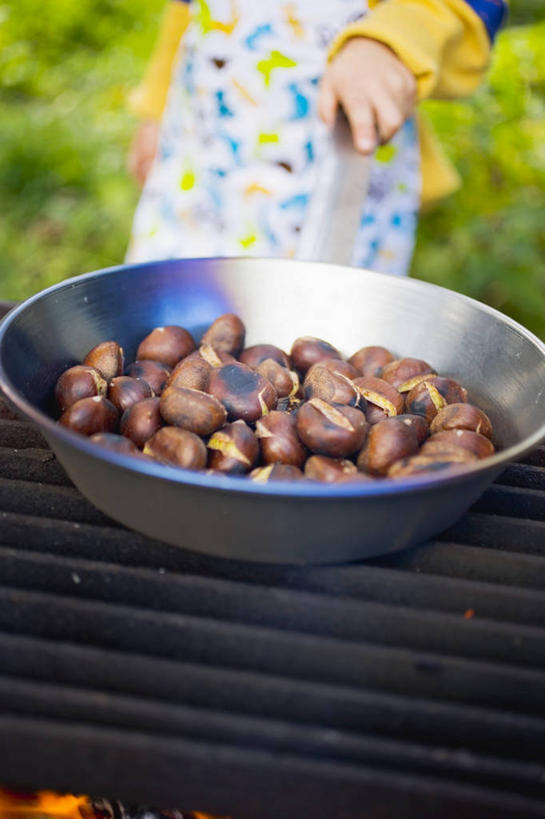 西方人,一个人,站,竖图,俯视,室外,特写,白天,烹饪,烧烤,树林,植物,厨具,金属制品,欧洲,欧洲人,仅一个年轻女性,仅一个女性,仅一个人,握,服装,朦胧,模糊,金属,锅子,板栗,栗子,坚果,毛栗子,烤架,烤肉,拿,拿着,休闲装,锅,树,树木,衣服,绿色,自然,站着,休闲,休闲服,铁架,握着,服饰,生长,煎锅,成长,锅具,烹饪用具,毛栗,栗果,栗楔,年轻女性,女人,女性,白种人,烹调用具,烹调,站立,半身,彩图,高角度拍摄