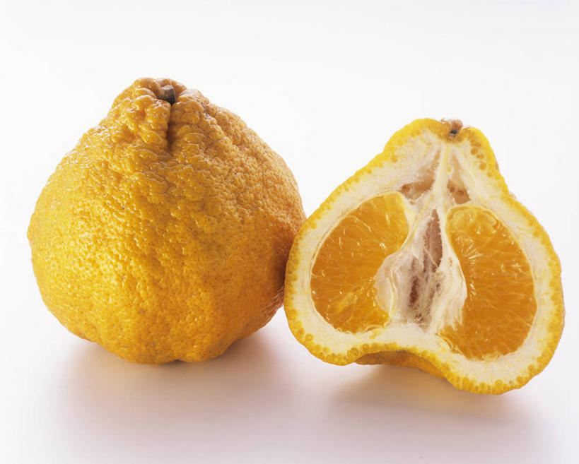 无人,横图,俯视,室内,特写,白天,白色背景,餐桌,桌子,柑橘,水果,阴影,新鲜,反射,影子,生食,食品,果实,食物,两个,黄色,摄影,有机食品,绿色食品,影棚,餐台,横截面,剖面,柑桔,牙买加丑橘,截面,截面图形,橘子,桔子,彩图,高角度拍摄,影棚拍摄,拍摄,大红蜜橘,大红袍,红橘,黄橘,宽皮橘