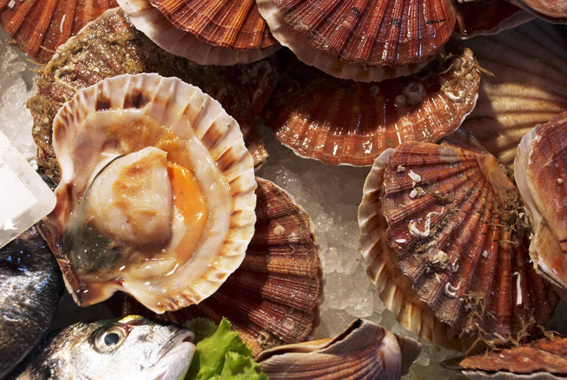 海鲜,无人,横图,俯视,室内,特写,白天,桌面,桌子,一堆,许多,阴影,堆叠,堆积,反射,木制,鱼,影子,冰,冰块,扇贝,冷冻,水产,鱼类,海洋生物,木制品,寒冷,冷藏,堆,海扇,冰冷,水生动物,海产品,水生物,海底动物,保鲜,彩图,高角度拍摄