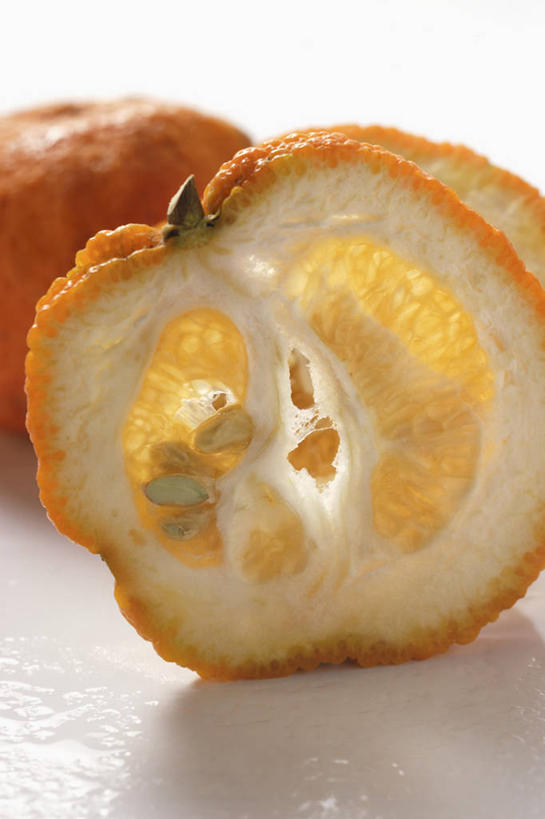 无人,竖图,俯视,室内,特写,白天,白色背景,餐桌,桌子,柑橘,水果,切开,阴影,新鲜,反射,影子,生食,食品,果实,食物,两个,切,橙色,摄影,有机食品,绿色食品,影棚,餐台,剖面,切面,柑桔,牙买加丑橘,橘子,桔子,彩图,高角度拍摄,影棚拍摄,拍摄,大红蜜橘,大红袍,红橘,黄橘,宽皮橘