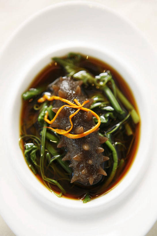 海鲜,无人,竖图,俯视,室内,特写,白天,白色背景,餐桌,桌子,黄瓜,蔬菜,餐具,阴影,新鲜,反射,碟子,盘,影子,食品,水产,海洋生物,食物,一个,白色,盘子,碟,摄影,有机食品,绿色食品,影棚,单个,餐台,海参,水生动物,海产品,水生物,棘皮动物,海底动物,青瓜,胡瓜,彩图,高角度拍摄,影棚拍摄,拍摄