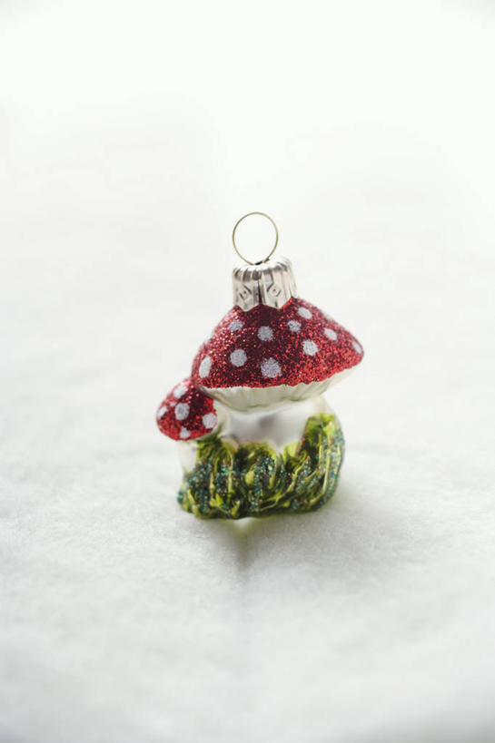 无人,竖图,俯视,室内,特写,白天,白色背景,圣诞节,阴影,节日,庆祝,装饰,反射,挂饰,影子,菌菇,蘑菇,圣诞球,菌类,文化,球,庆典,球体,食用菌,摄影,影棚,纪念,华丽,修饰,点缀,衬托,美观,雅致,雅观,彩图,高角度拍摄,影棚拍摄,拍摄