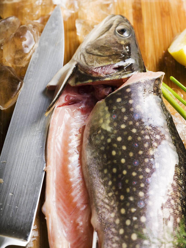 三文鱼,无人,竖图,俯视,室内,特写,白天,餐桌,桌子,鲑鱼,金属制品,一把,切开,阴影,反射,金属,工具,影子,肉,鱼肉,刀具,肉类,刀,切,餐台,大马哈鱼,菜刀,剖面,肉食,切面,撒蒙鱼,萨门鱼,冰海之皇,鲑,马哈鱼,麻哈鱼,大麻哈鱼,切菜刀,彩图,高角度拍摄,红点鲑