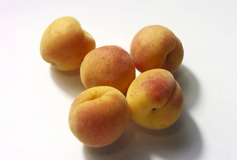 无人,横图,俯视,室内,特写,白天,白色背景,餐桌,桌子,杏,水果,五个,许多,阴影,新鲜,反射,影子,生食,食品,果实,食物,摄影,有机食品,绿色食品,影棚,餐台,杏果,杏子,彩图,高角度拍摄,影棚拍摄,拍摄