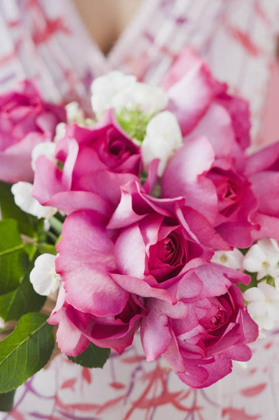 西方人,一个人,站,竖图,室内,特写,白天,正面,爱情,幸福,纯洁,热情,玫瑰,欧洲,欧洲人,仅一个年轻女性,仅一个女性,仅一个人,握,服装,朦胧,模糊,盛开,玫瑰花,浪漫,拿,花蕾,拿着,休闲装,花,花瓣,花朵,鲜花,衣服,粉色,花苞,花蕊,站着,休闲,温暖,温馨,休闲服,恩爱,握着,服饰,和睦,感动,粉玫瑰,尊敬,天真,刺玫花,徘徊花,年轻女性,女人,女性,白种人,站立,半身,彩图,融洽