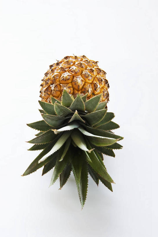 无人,竖图,俯视,室内,特写,白天,白色背景,餐桌,桌子,菠萝,水果,叶子,阴影,新鲜,反射,影子,生食,食品,果实,绿叶,食物,一个,嫩叶,摄影,有机食品,绿色食品,影棚,单个,餐台,叶,叶片,凤梨,彩图,高角度拍摄,影棚拍摄,拍摄