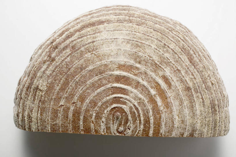 点心,面包,无人,横图,俯视,室内,特写,白天,白色背景,餐桌,桌子,切开,阴影,反射,纹路,纹理,影子,食品,面点,半个,食物,糕点,切,一半,黑面包,摄影,影棚,餐台,全麦面包,剖面,切面,肌理,麸皮面包,彩图,高角度拍摄,影棚拍摄,拍摄