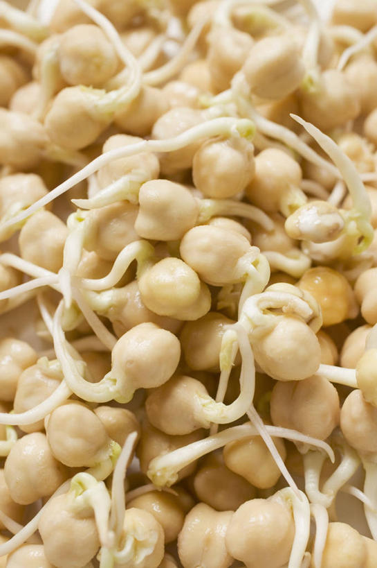 无人,竖图,俯视,室内,特写,白天,蔬菜,一堆,许多,阴影,堆叠,堆积,朦胧,模糊,新鲜,透明,反射,影子,豆类,食品,辉煌,食物,黄色,健康,活泼,有机食品,绿色食品,希望,堆,暖色,光辉,鹰嘴豆,回鹘豆,桃豆,鸡豆,诺胡提,光明,功名,轻快,彩图,高角度拍摄