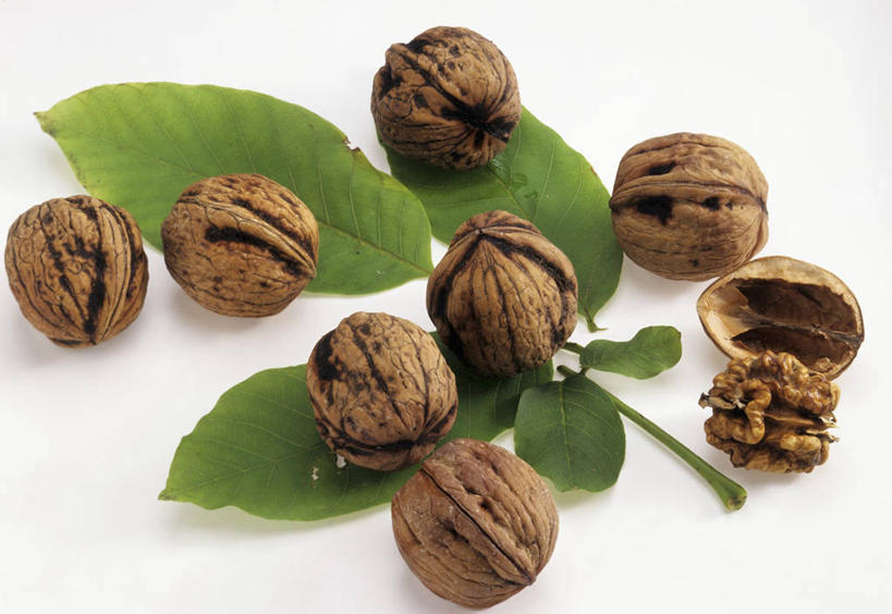 无人,横图,俯视,室内,特写,白天,白色背景,餐桌,桌子,叶子,许多,阴影,反射,影子,核桃,坚果,果实,绿叶,干果,打开,嫩叶,摄影,影棚,餐台,开启,胡桃,羌桃,叶,叶片,彩图,高角度拍摄,影棚拍摄,拍摄