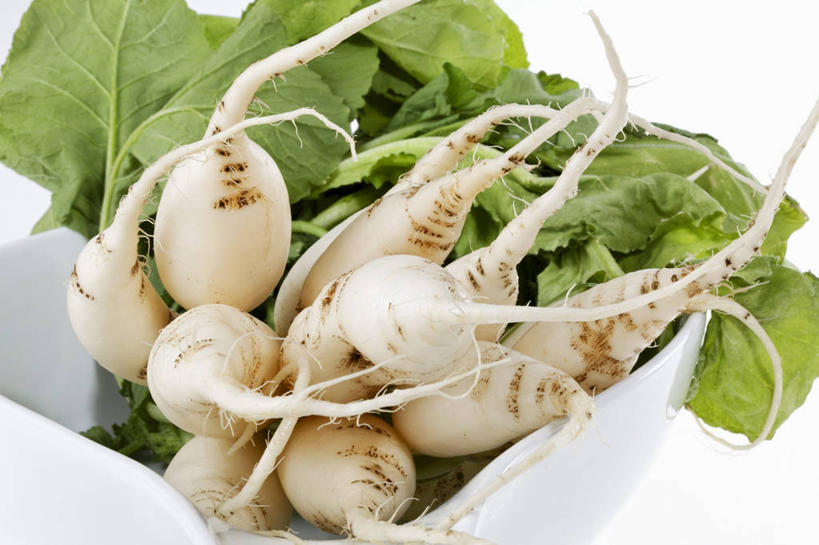 无人,横图,俯视,室内,特写,白天,白色背景,植物,桌面,桌子,萝卜,白萝卜,蔬菜,叶子,一堆,许多,阴影,堆叠,堆积,新鲜,反射,木制,包装,纹理,影子,纸箱,食品,绿叶,很多,食物,一个,绿色,木制品,容器,箱子,嫩叶,摄影,有机食品,绿色食品,影棚,单个,堆,纸板箱,包装箱,肌理,叶,叶片,叶脉,莱菔,彩图,高角度拍摄,影棚拍摄,拍摄