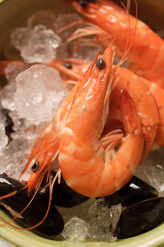 海鲜,无人,竖图,俯视,室内,特写,白天,贝壳,一堆,许多,阴影,堆叠,堆积,反射,影子,陶瓷,冰,虾,冰块,陶瓷制品,很多,冷冻,水产,大虾,海洋生物,一个,容器,碗,寒冷,对虾,冷藏,单个,储藏,堆,冰冷,储存,水生动物,海产品,贻贝,水生物,海底动物,斑节虾,海虹,淡菜,壳菜,青口,保鲜,东方对虾,中国对虾,彩图,高角度拍摄,贮存