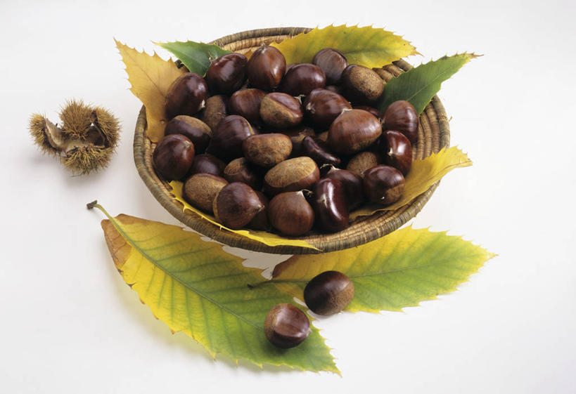 无人,交叉,横图,俯视,室内,特写,白天,白色背景,植物,桌面,桌子,竹子,叶子,一堆,许多,阴影,堆叠,堆积,竹制,编织,反射,木制,篮子,纹理,影子,板栗,栗子,坚果,绿叶,毛栗子,很多,一个,绿色,木制品,竹篮,嫩叶,摄影,影棚,单个,竹条,堆,交织,竹制品,肌理,毛栗,栗果,栗楔,穿插,叶,叶片,叶脉,彩图,高角度拍摄,影棚拍摄,拍摄