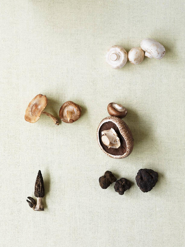 无人,竖图,俯视,室内,特写,白天,白色背景,桌面,桌子,蔬菜,阴影,新鲜,反射,木制,影子,菌菇,蘑菇,香菇,食品,松露,菌类,食物,白色,木制品,食用菌,摄影,有机食品,绿色食品,影棚,白蘑菇,洋蘑菇,羊肚菇,草腐菌,二孢蘑菇,双孢蘑菇,黑松露,羊肚菜,羊肚菌,羊蘑,美味羊肚菌,彩图,高角度拍摄,影棚拍摄,拍摄