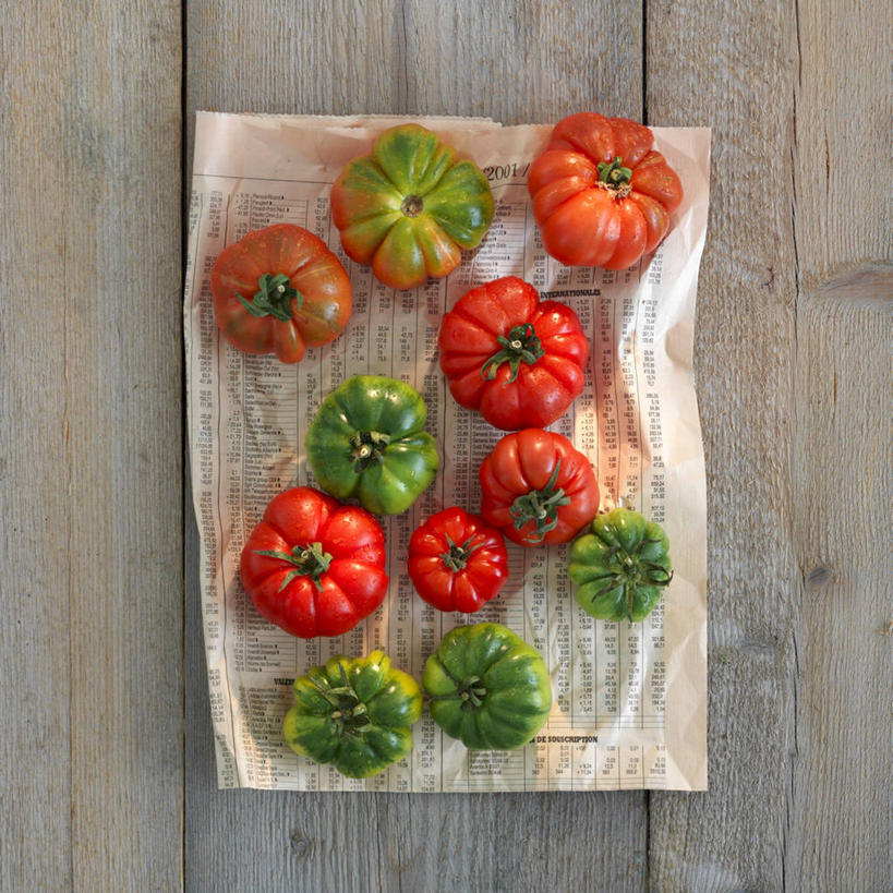 无人,方图,俯视,室内,特写,白天,阅读,桌面,桌子,蔬菜,西红柿,报纸,许多,学习,阴影,新鲜,反射,木制,影子,食品,很多,食物,红色,绿色,木制品,看,浏览,摄影,有机食品,绿色食品,影棚,番茄,彩图,高角度拍摄,影棚拍摄,拍摄