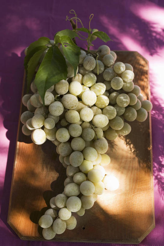 无人,竖图,俯视,室内,特写,白天,植物,桌面,桌子,葡萄,水果,叶子,一串,阴影,新鲜,反射,木制,纹理,影子,生食,食品,果实,绿叶,案板,砧板,食物,绿色,木制品,嫩叶,有机食品,绿色食品,肌理,叶,叶片,叶脉,山葫芦,蒲桃,草龙珠,彩图,高角度拍摄