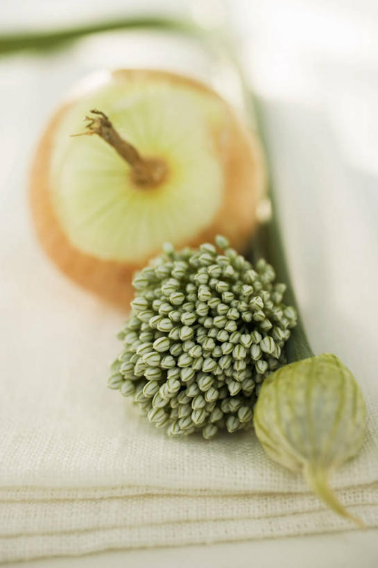 无人,竖图,俯视,室内,特写,白天,植物,桌面,桌子,蔬菜,洋葱,阴影,朦胧,模糊,新鲜,盛开,反射,木制,影子,葱,食品,草药,药草,葱花,花蕾,中药,花,花瓣,花朵,鲜花,食物,绿色,自然,木制品,花苞,花蕊,有机食品,绿色食品,生长,成长,细香葱,香葱,玉葱,药材,中草药,中药材,本草,圆葱,洋葱头,球葱,葱头,彩图,高角度拍摄